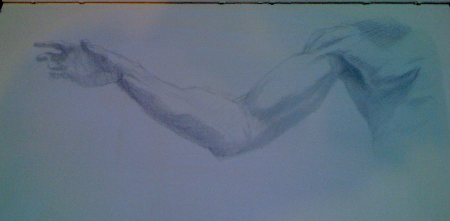 Angels Wing Study
